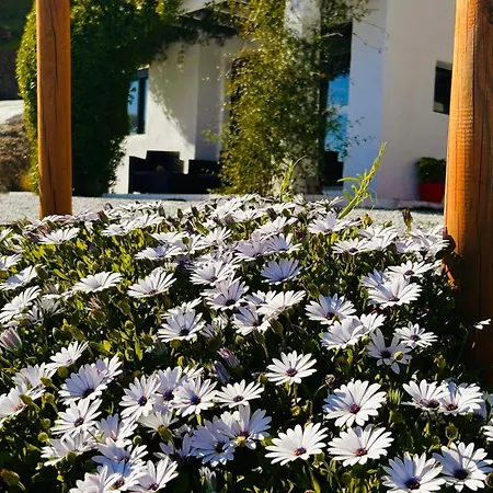 Mentirosanata *